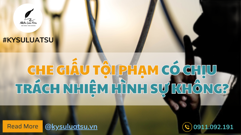 Che giấu tội phạm có chịu trách nhiệm hình sự không?