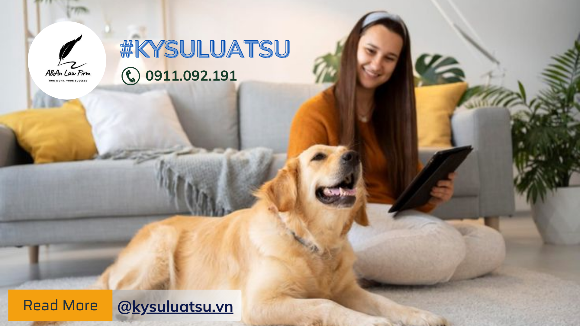 Quy định hiện hành về nuôi chó mèo trong chung cư - Ký sự Luật sư