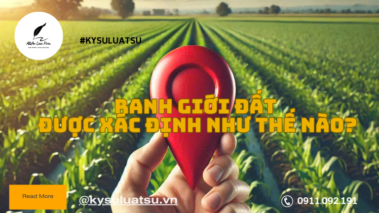 Ranh giới thửa đất được xác định như thế nào theo quy định mới nhất